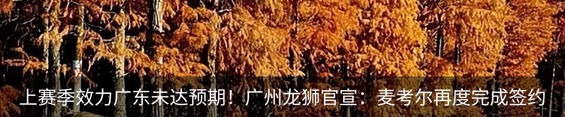 最新动态