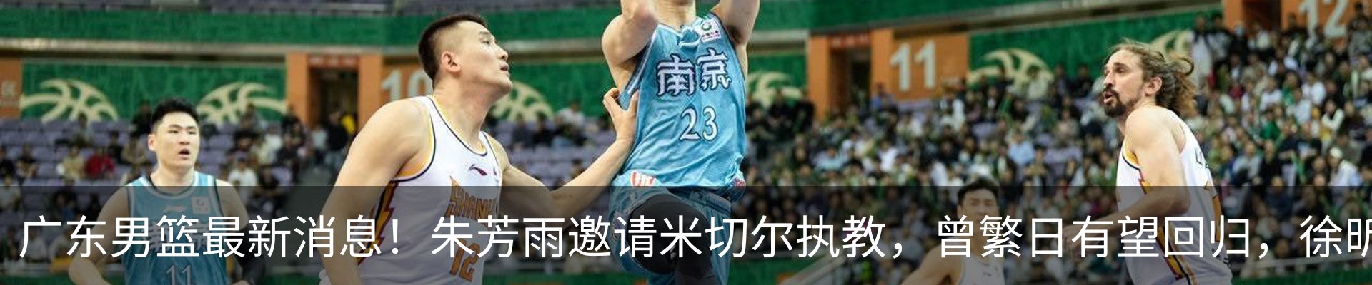 最新动态