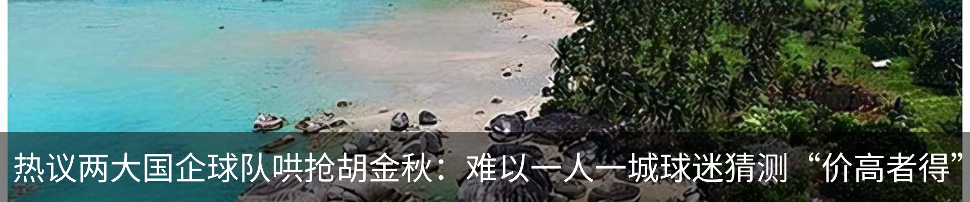 最新动态
