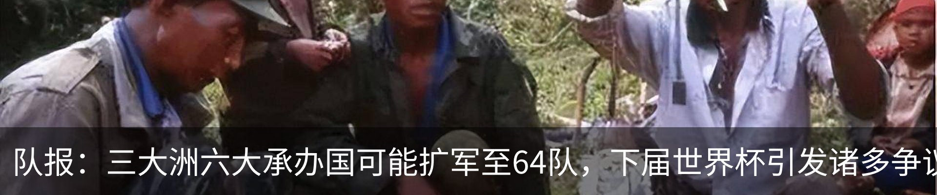 最新动态