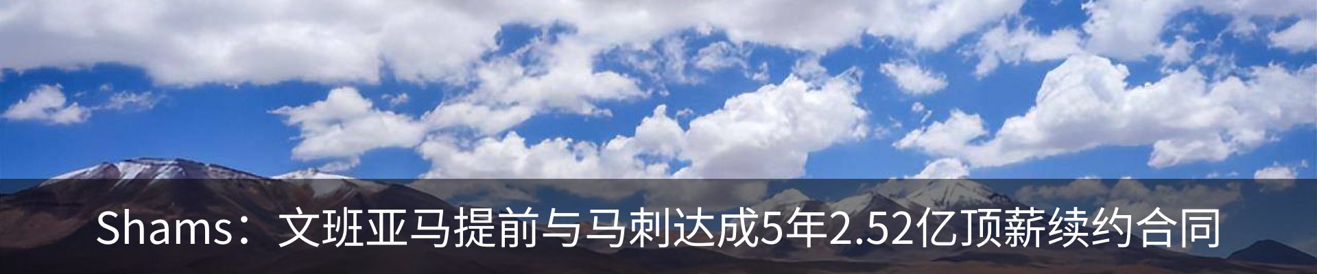 最新动态
